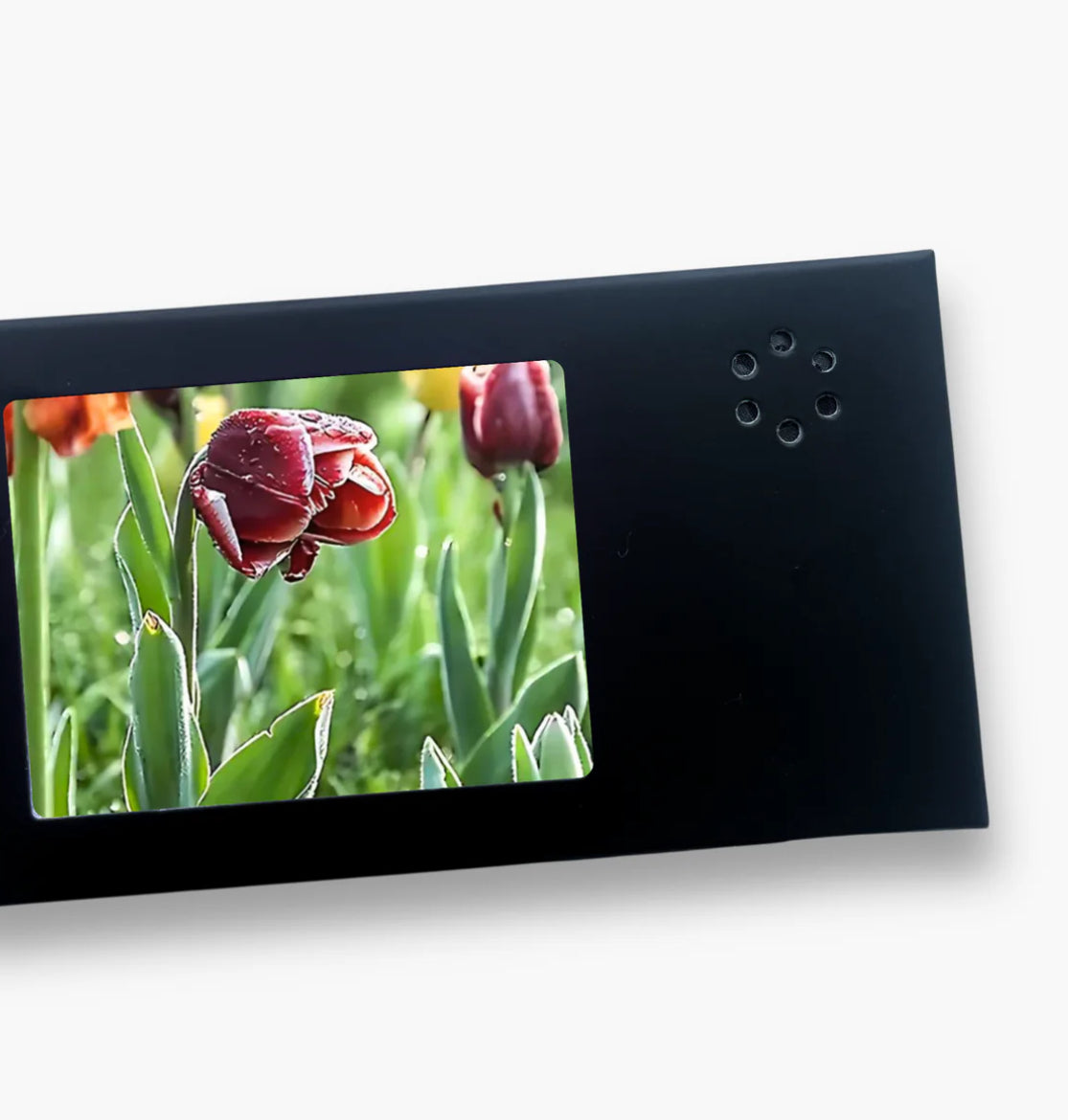 1**Mini Display Video Card