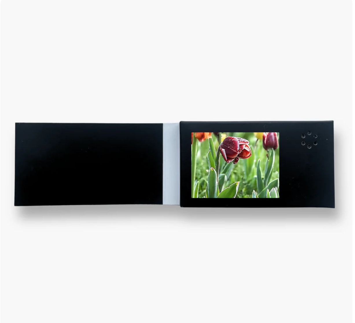 1**Mini Display Video Card